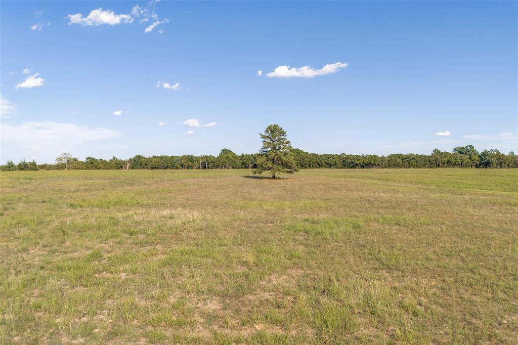 Dodd City, TX 75438,Tract 3 County Road 2975