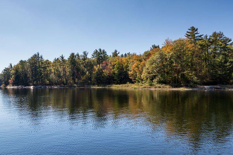 Georgian Bay, ON P0E 1E0,24 Webber Island N/A