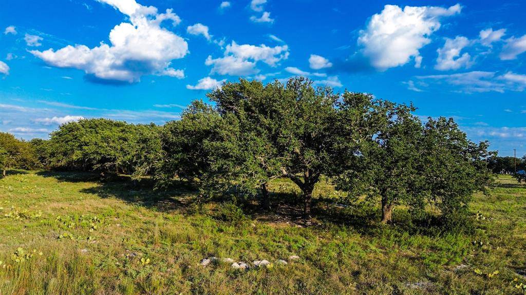 Lampasas, TX 76550,Lot 110 Kudu Court