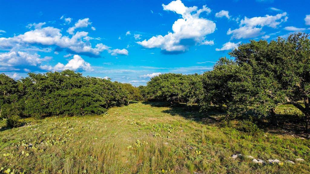 Lampasas, TX 76550,Lot 110 Kudu Court