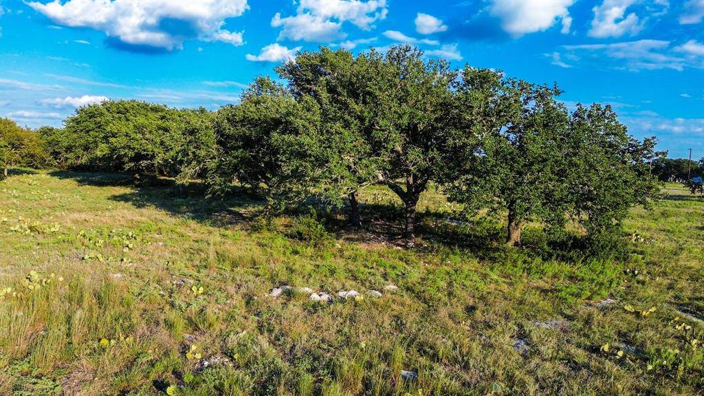 Lampasas, TX 76550,Lot 110 Kudu Court