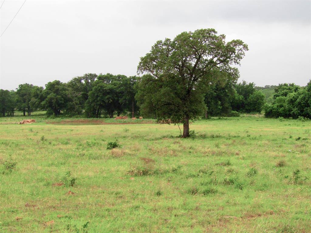 Mineral Wells, TX 76068,0000 Camp Trail