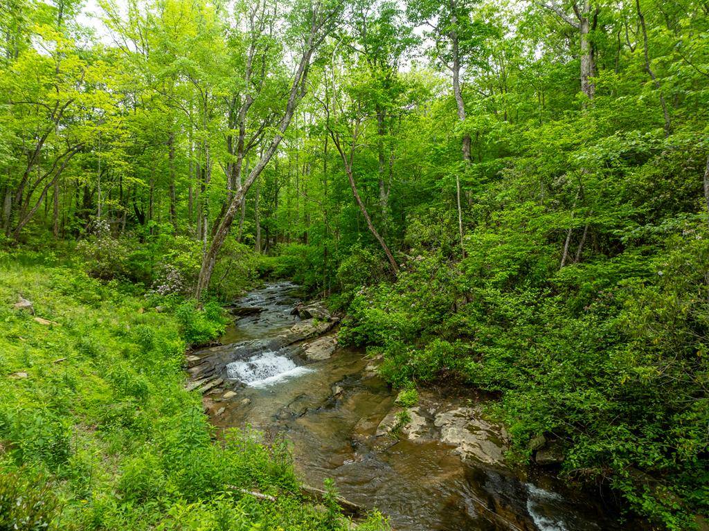 Ellijay, GA 30540,35 Acres Price Creek Trail