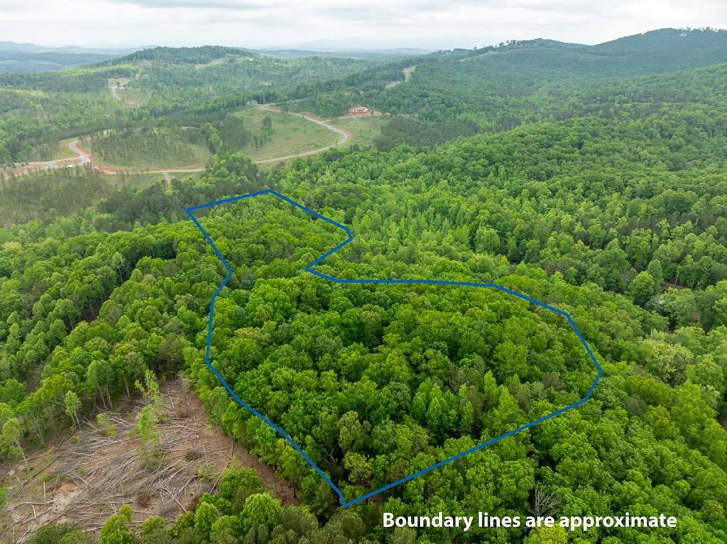 Ellijay, GA 30540,35 Acres Price Creek Trail