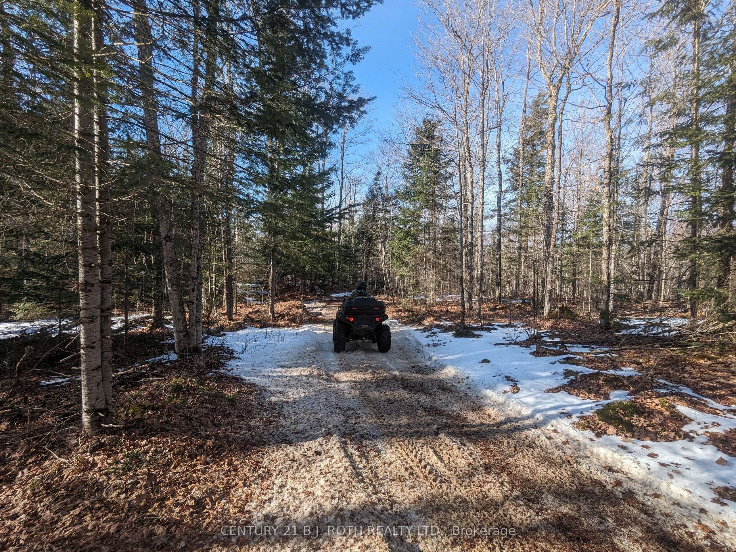 Algonquin Highlands, ON K0M 1J1,11146 ON-118 Highway N/A