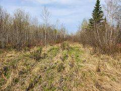 Timiskaming Remote Area, ON P0J 1H0,N1/2 LT 9 Con 1 N/A