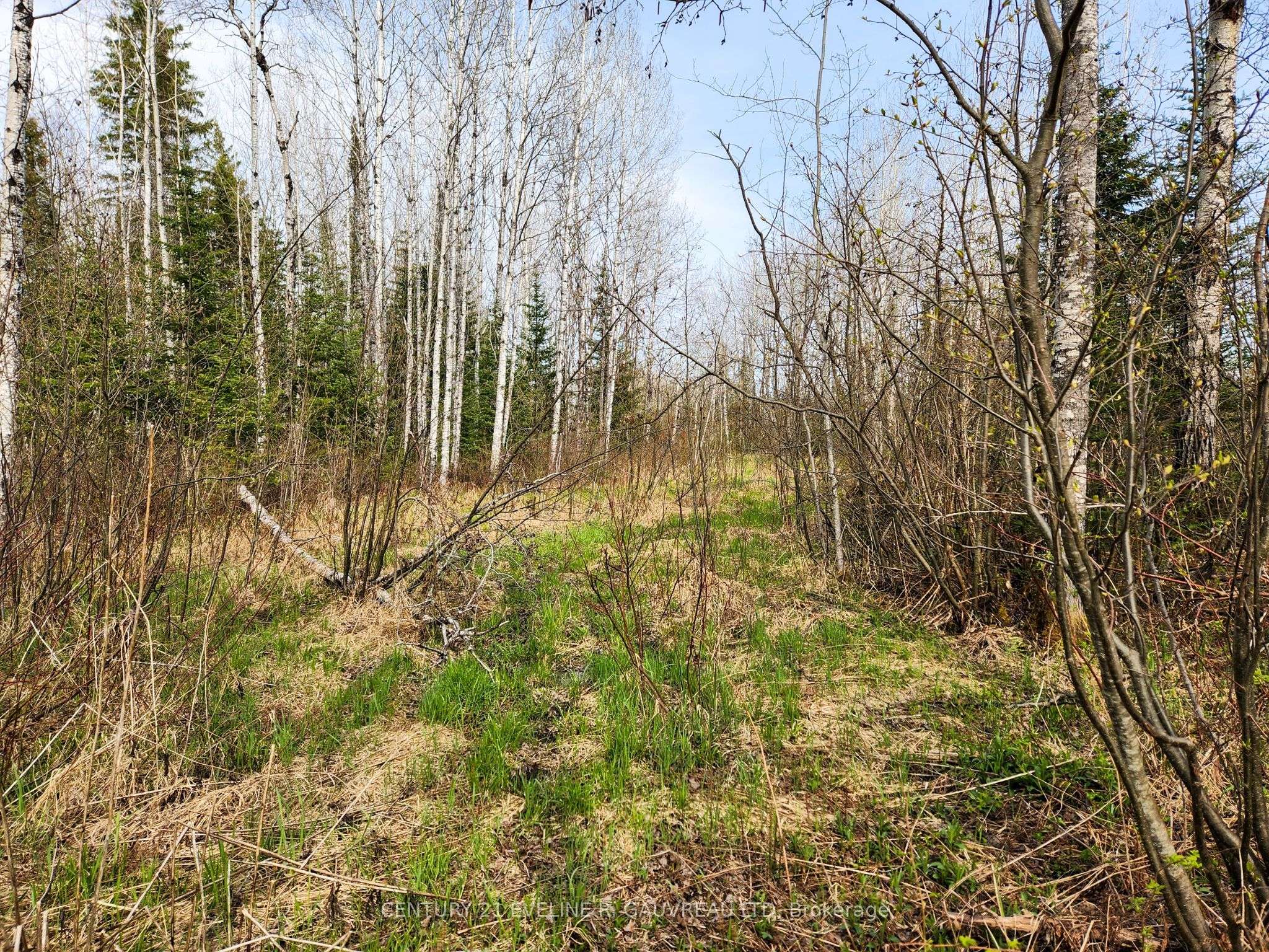 Timiskaming Remote Area, ON P0J 1H0,N1/2 LT 9 Con 1 N/A