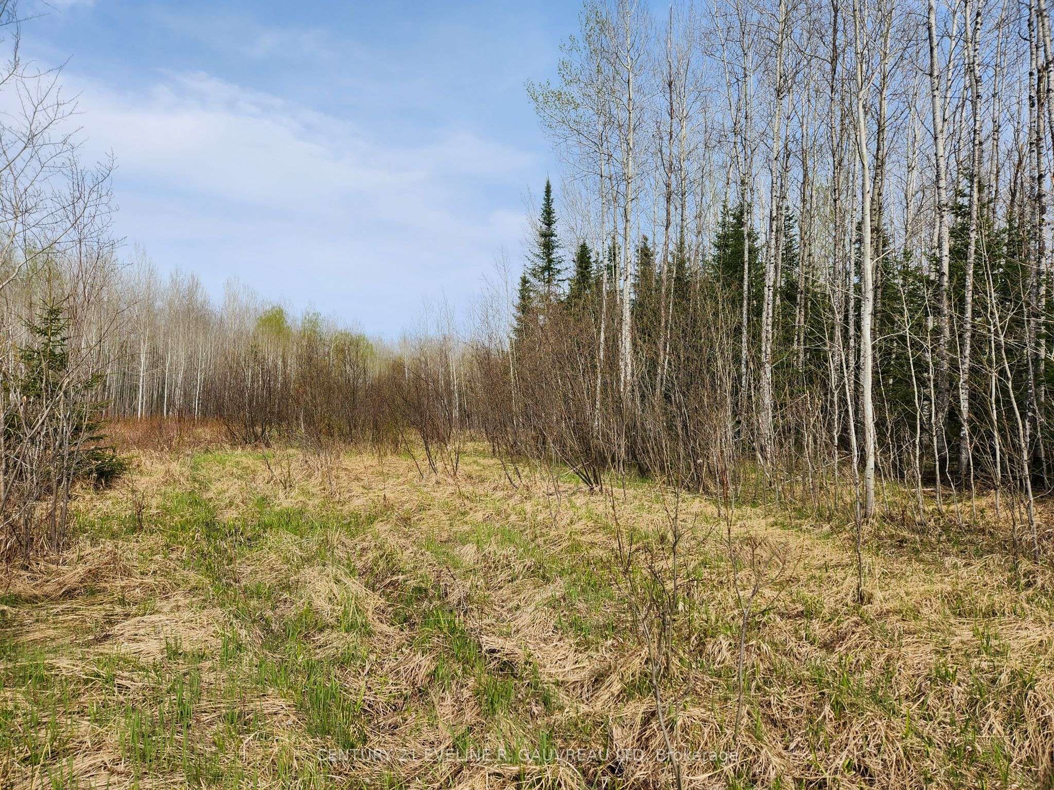 Timiskaming Remote Area, ON P0J 1H0,N1/2 LT 9 Con 1 N/A