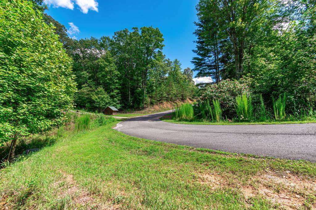 Morganton, GA 30560,Lot 22 Meadow Brook Trail