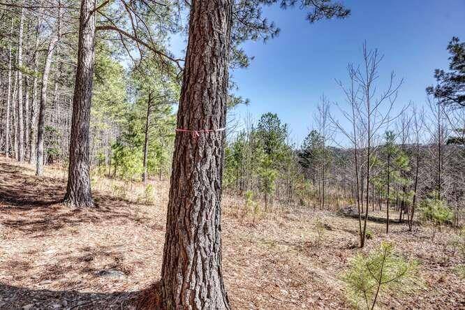 Blairsville, GA 30512,Lot 161 Thirteen Hundred S/D