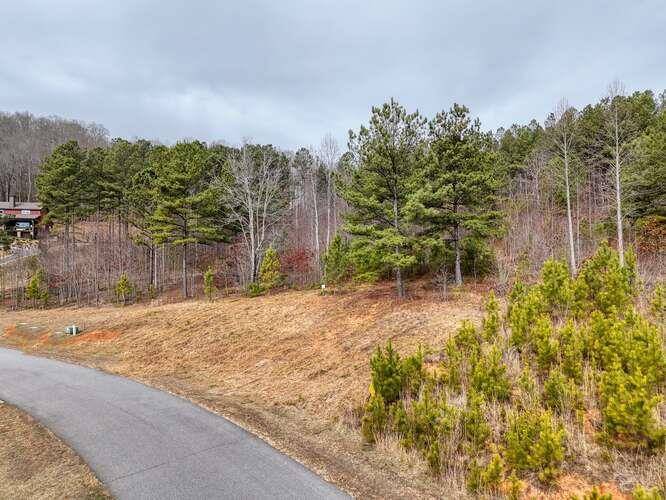 Blairsville, GA 30512,Lot 161 Thirteen Hundred S/D