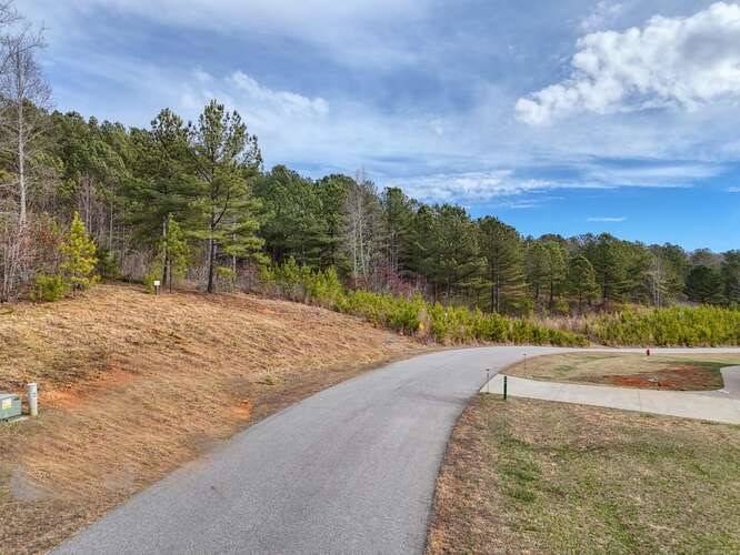 Blairsville, GA 30512,Lot 161 Thirteen Hundred S/D