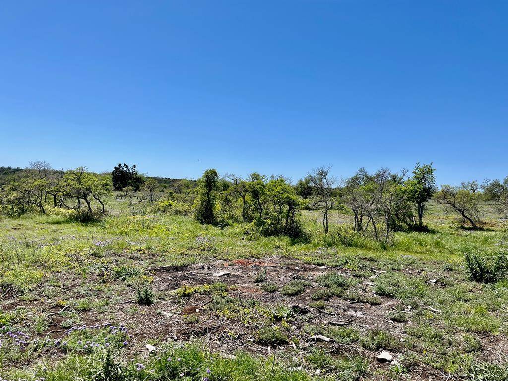 Harper, TX 78631,Lot 4 -- Jung Rd