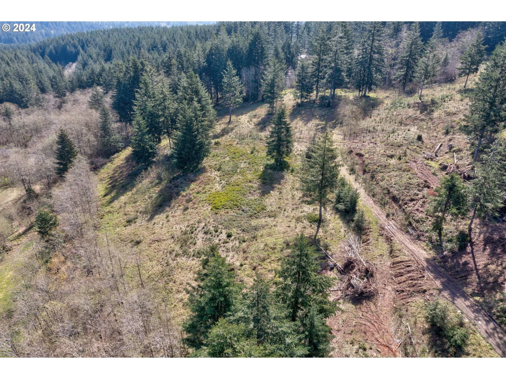 Camas, WA 98607,0 NE 298th CT