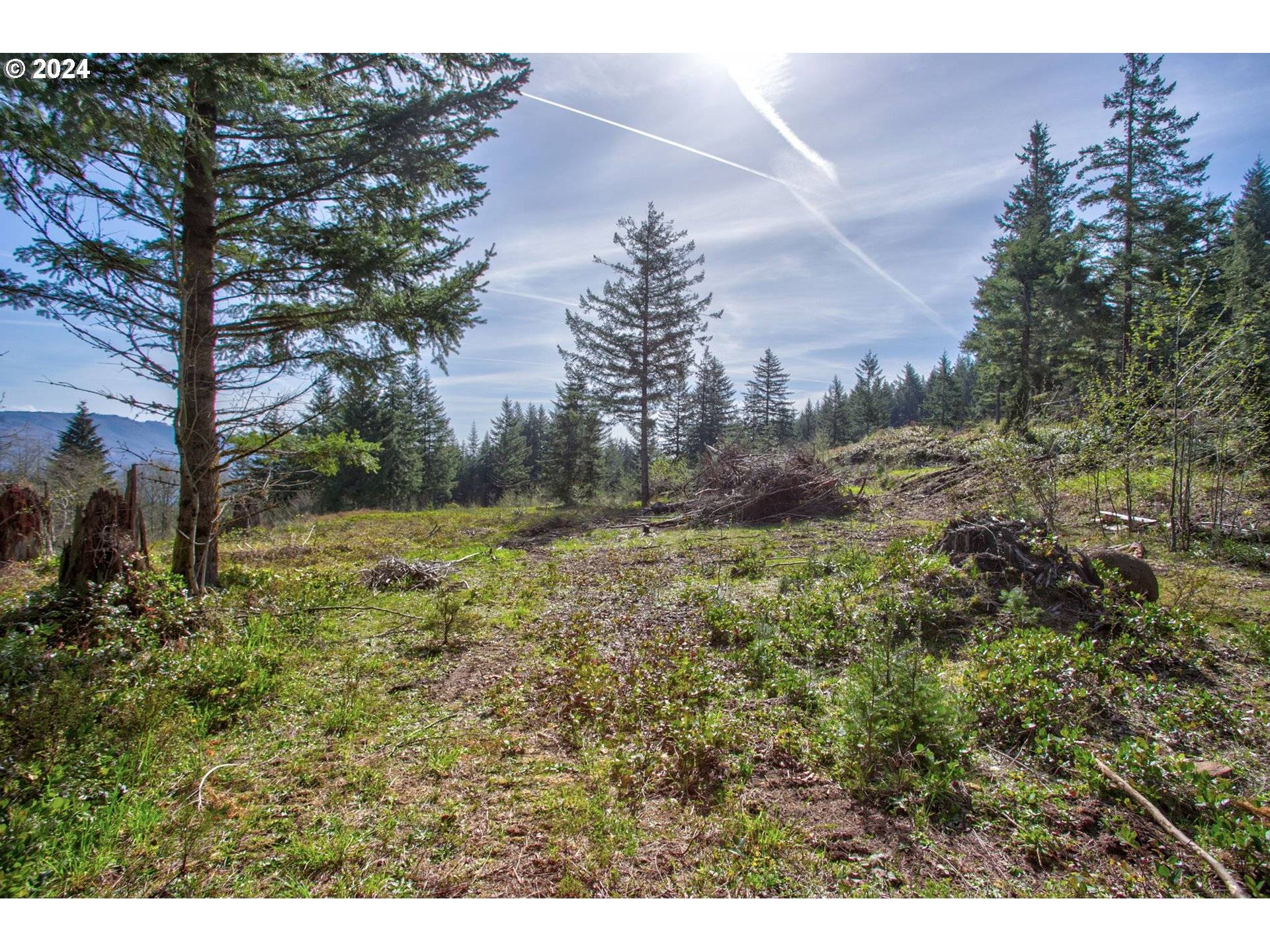 Camas, WA 98607,0 NE 298th CT