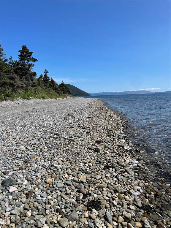 York Harbour, NL A0L 1L0,19 Mountain View Road