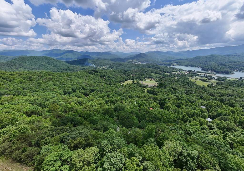 Hiawassee, GA 30546,174 Buck Ridge