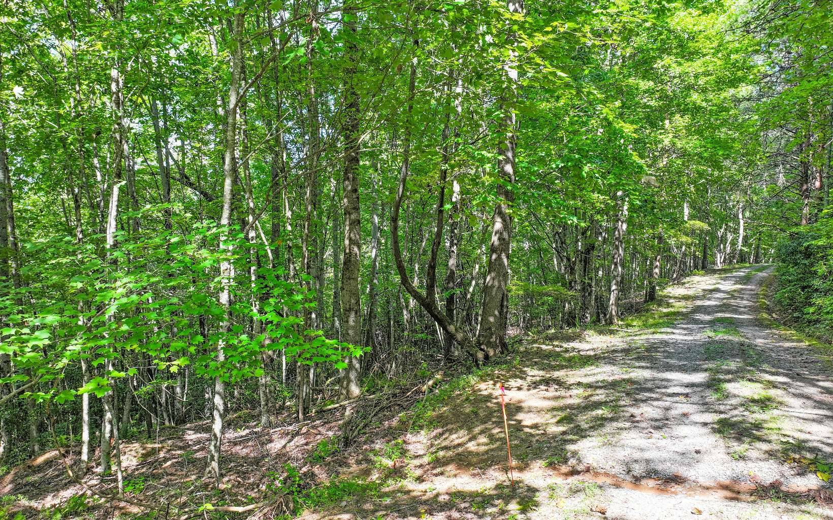 Mineral Bluff, GA 30559,0 North View Trail