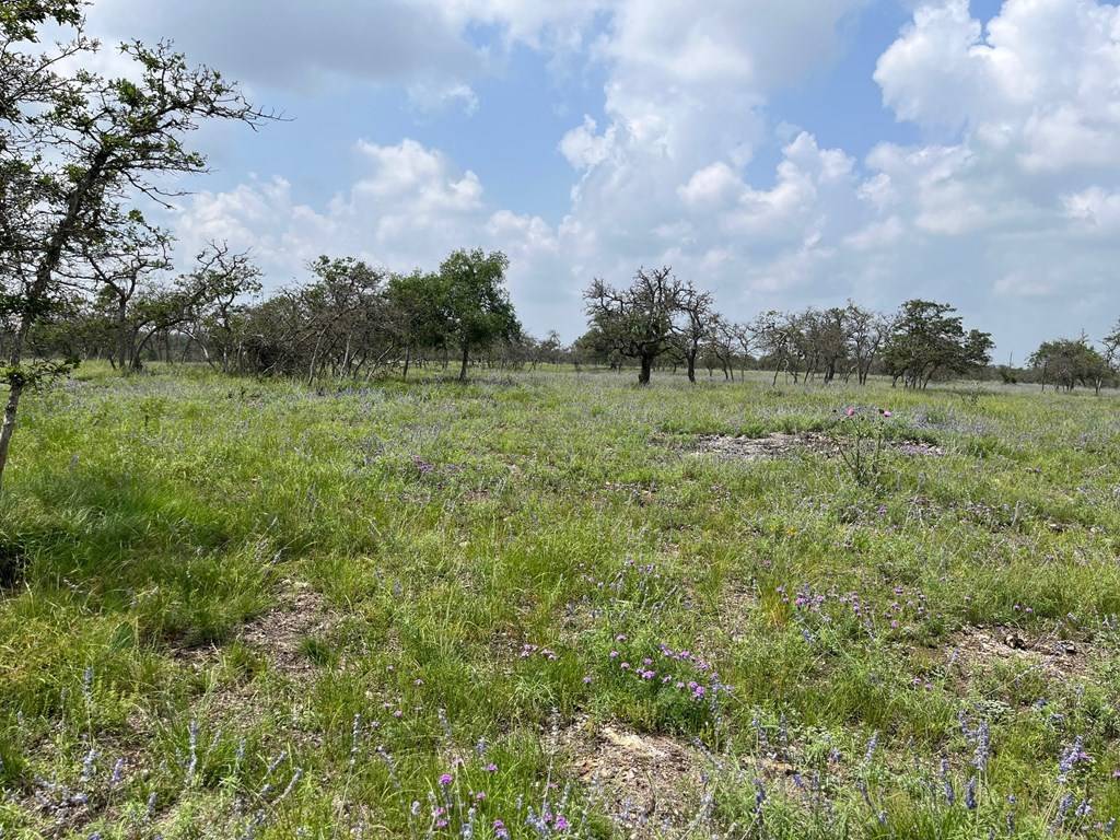 Harper, TX 78631,Lot 9 -- Sweet Wind Ln