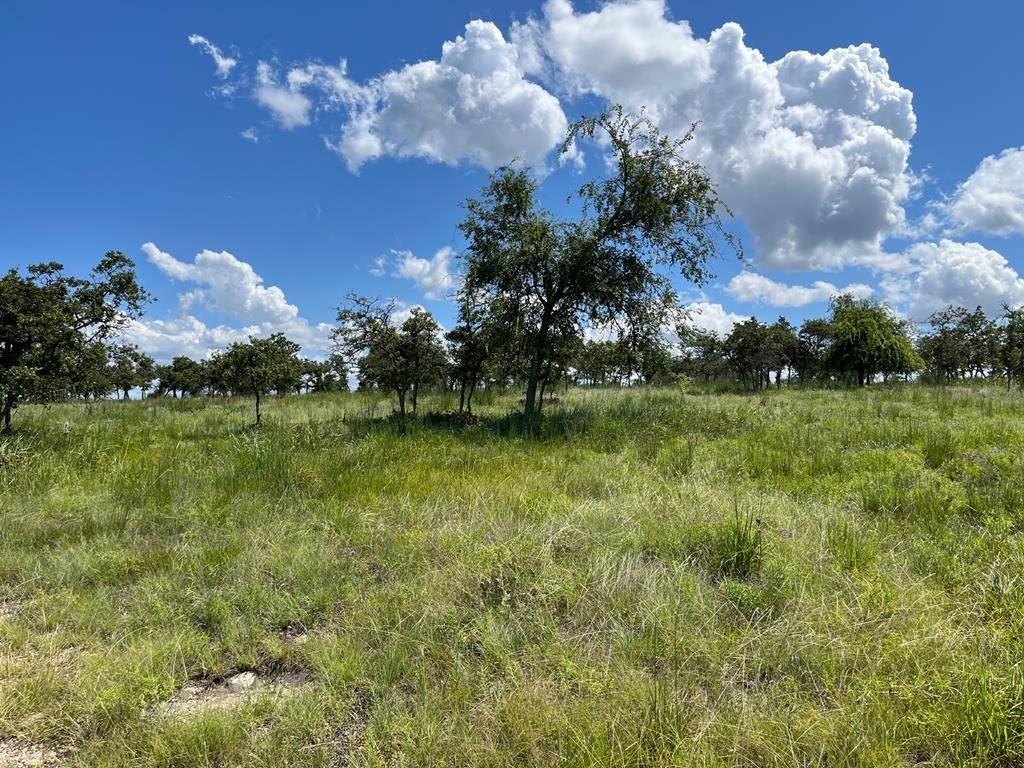 Harper, TX 78631,Lot 10 -- Sweet Wind Ln