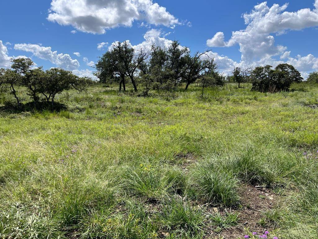 Harper, TX 78631,Lot 11 -- Sweet Wind Ln