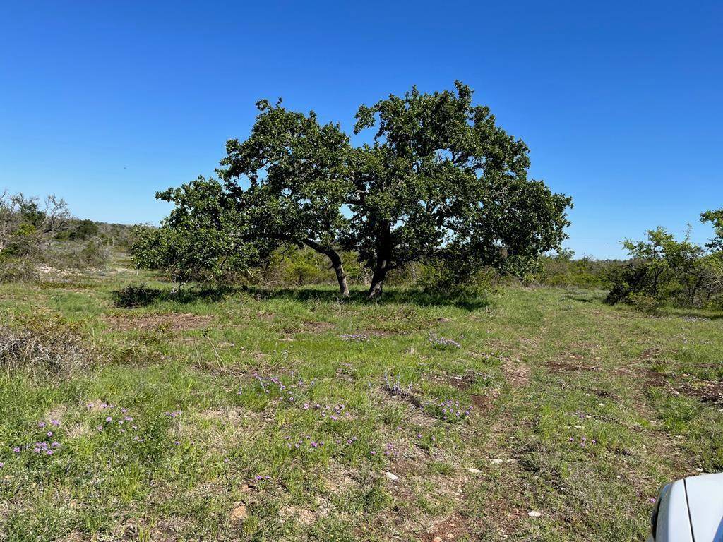 Harper, TX 78631,Lot 15 -- Sweet Wind Ln