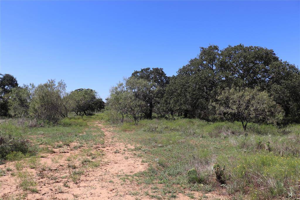 Gorman, TX 76454,15 Ac. TBD, Tract 1 County Road 186