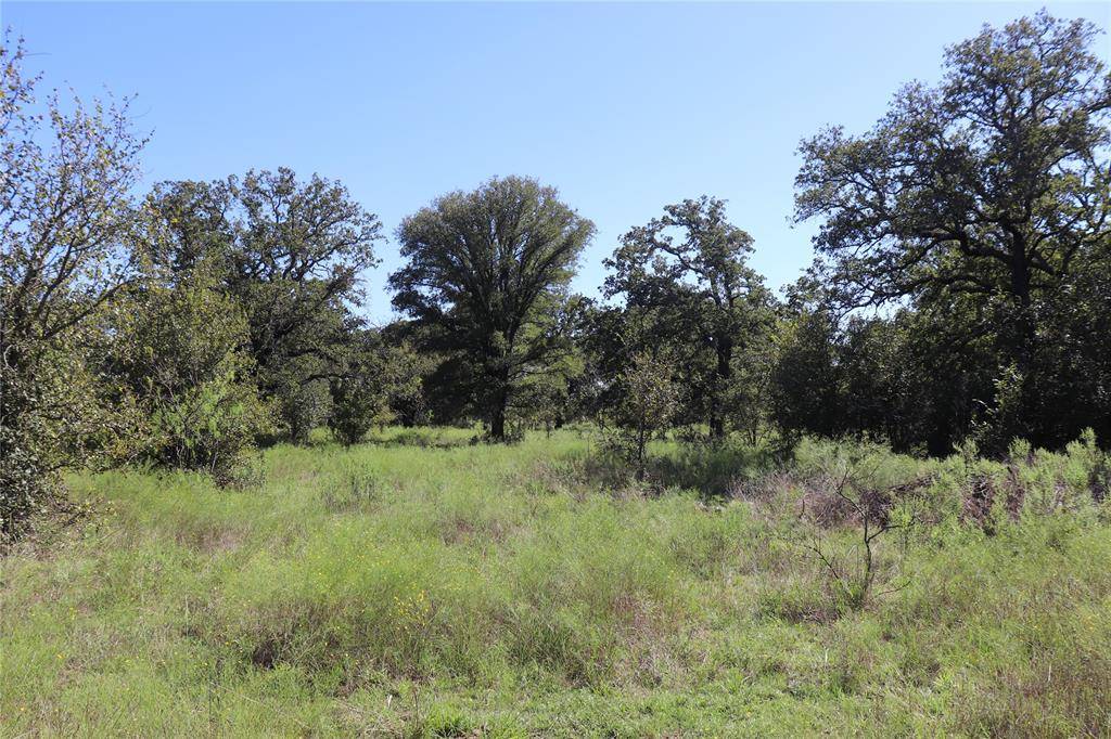 Gorman, TX 76454,15 Ac. TBD, Tract 2 County Road 186