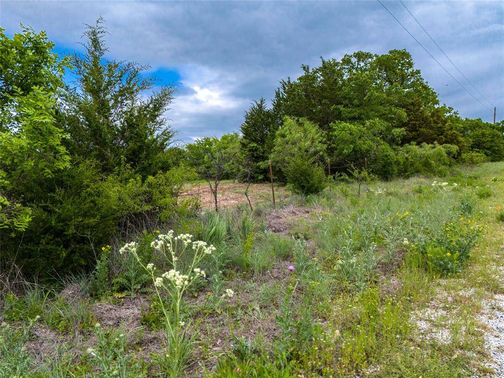 Boyd, TX 76023,TBD COUNTY ROAD 4698