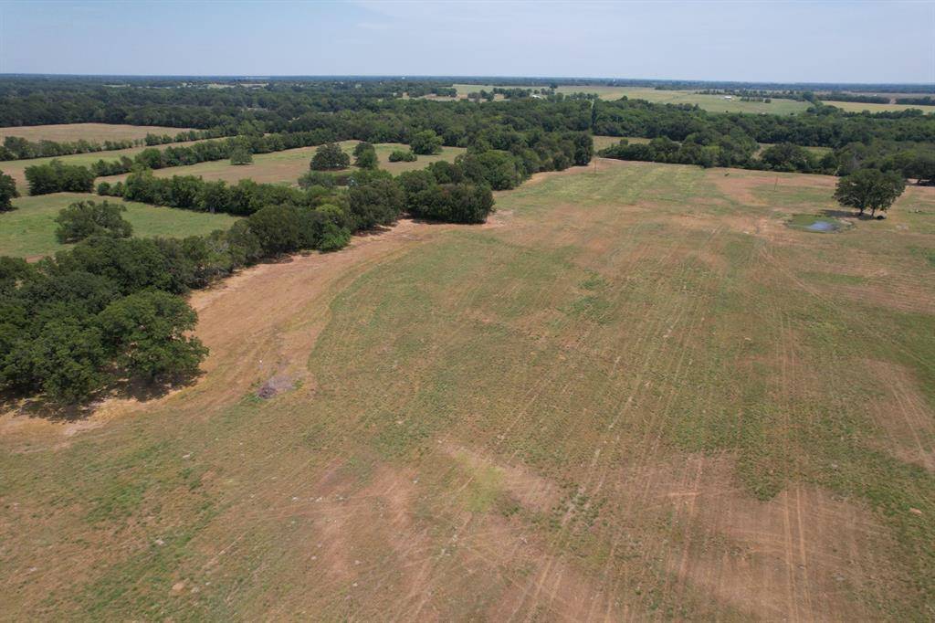 Pattonville, TX 75468,TBD-TRACT 4 CR 15380