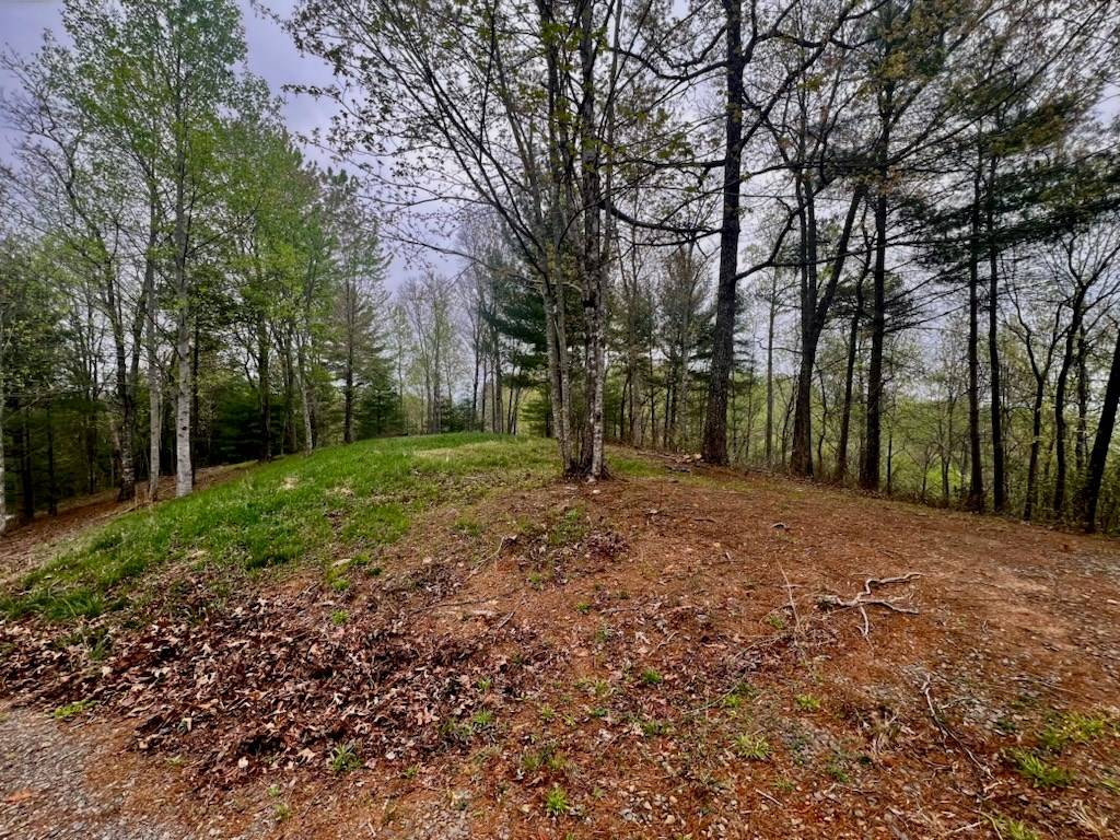 Murphy, NC 28906,TR1-23 Majestic Mountain Trail