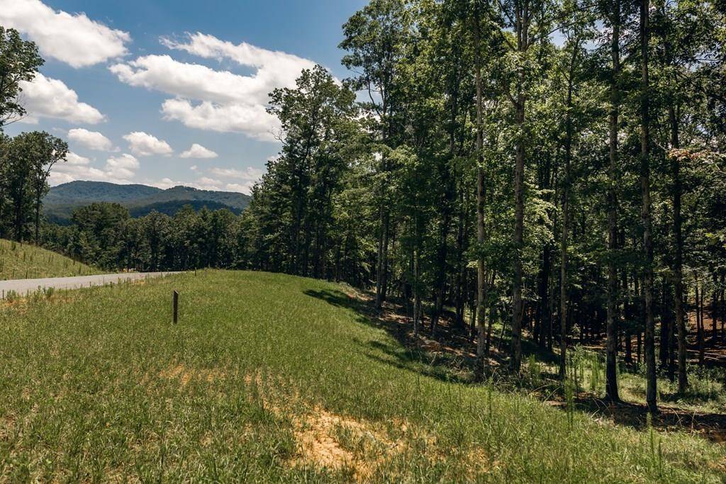 Morganton, GA 30560,Lot 133 Ridges Of Blue Ridge