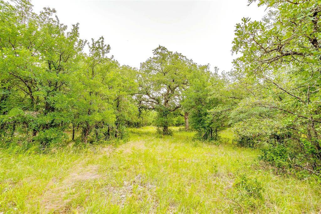 Hillsboro, TX 76645,TBD 0000 County Road 2446