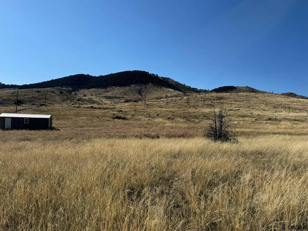 Cotopaxi, CO 81223,TBD Copper Gulch Road