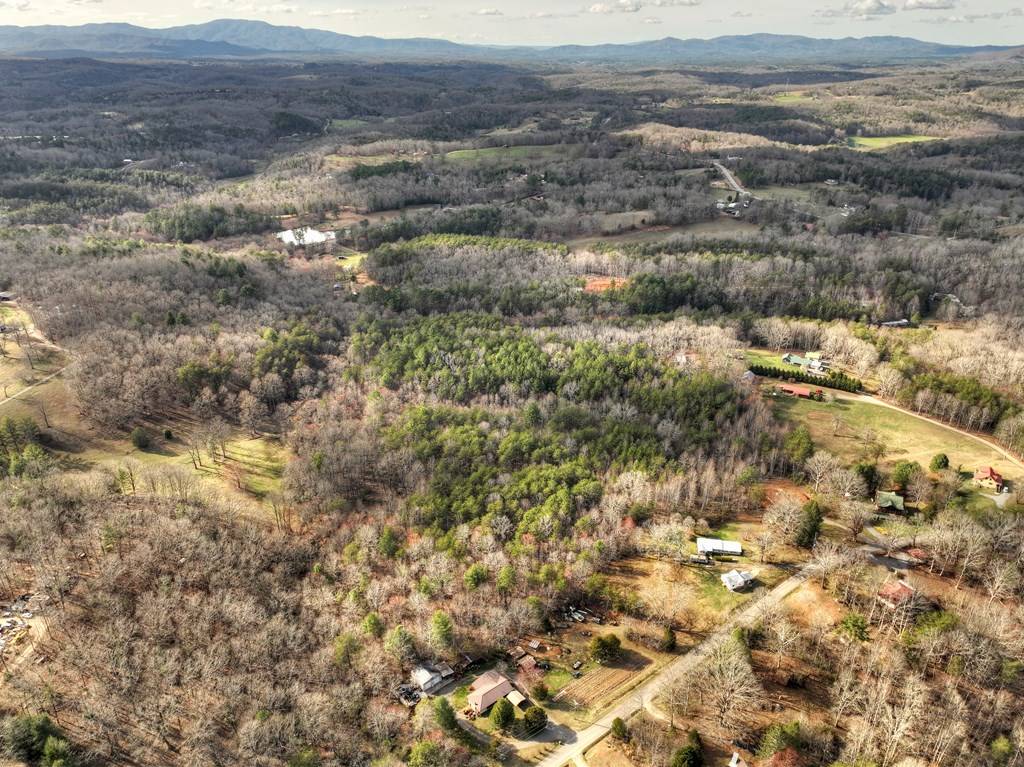 Mineral Bluff, GA 30559,9.22 Ac Douthit Road