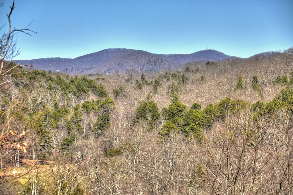 Mineral Bluff, GA 30559,139 West Wood Drive