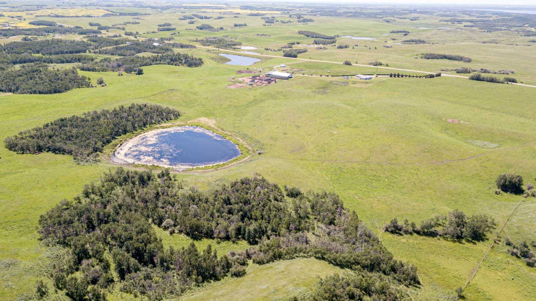 Rural Stettler No. 6 County Of, AB T0C 2L0,On RR 20-4