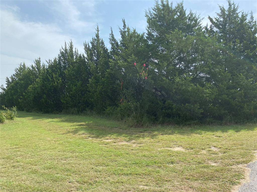 Anna, TX 75409,9580 Twin Creeks Circle