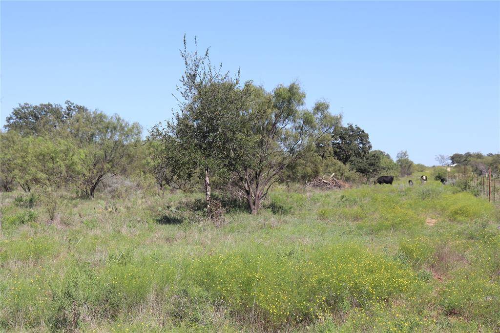 Gorman, TX 76454,15 Ac. TBD, tract 4 County Road 186