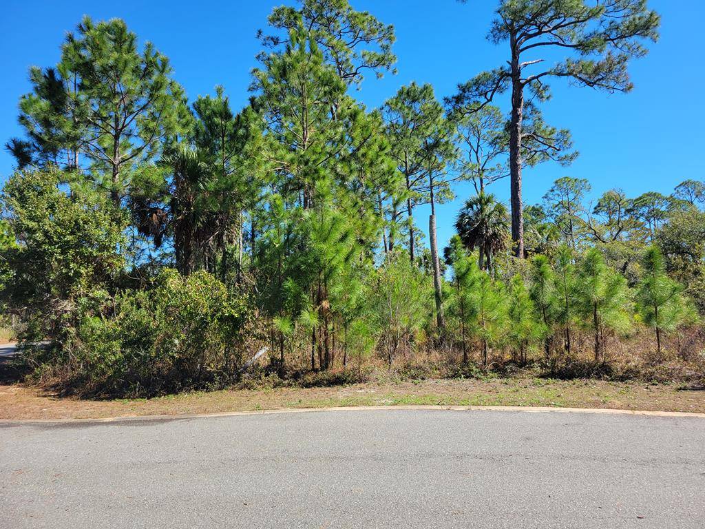 Port St. Joe, FL 32456,Lot 13 Sweet Bay Ln