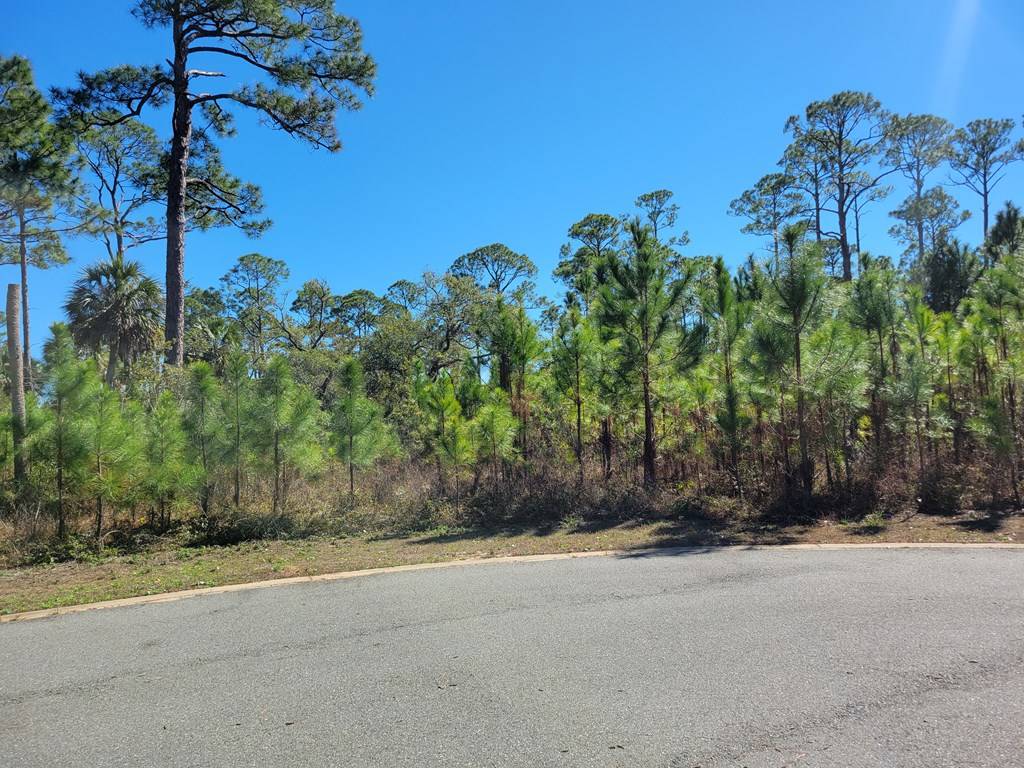 Port St. Joe, FL 32456,Lot 13 Sweet Bay Ln