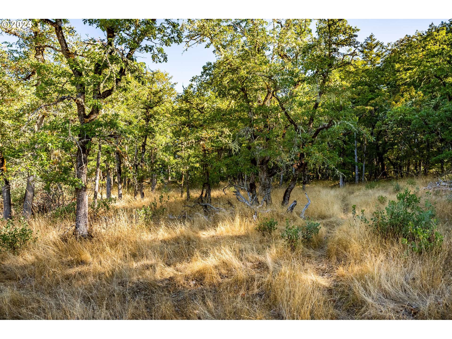 Roseburg, OR 97471,0 IMPOSSIBLE LN