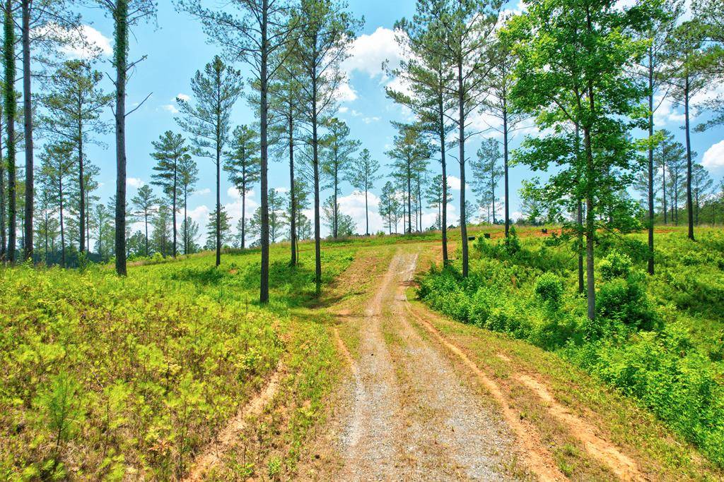 Ellijay, GA 30540,LOT 10 High River Road