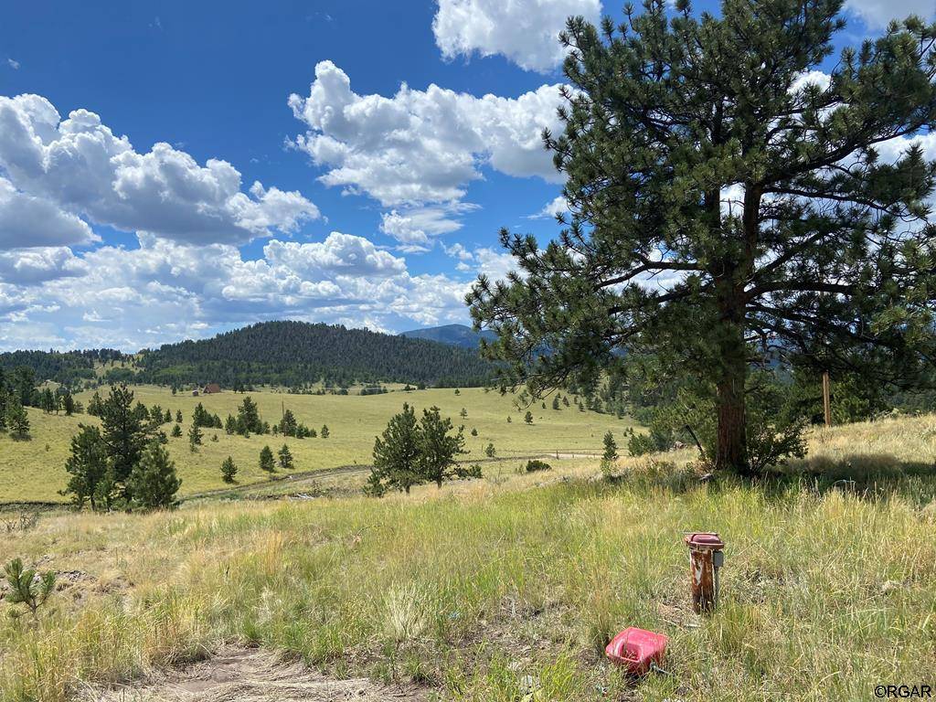 Guffey, CO 80820,2302 Julia Road