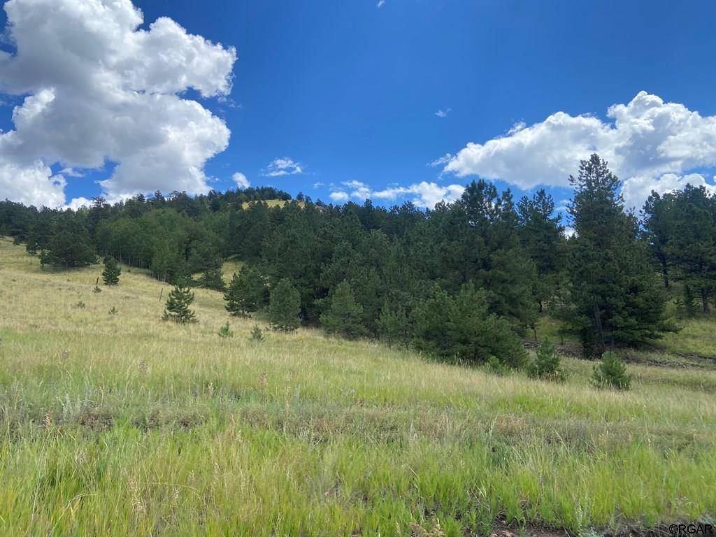 Guffey, CO 80820,2302 Julia Road