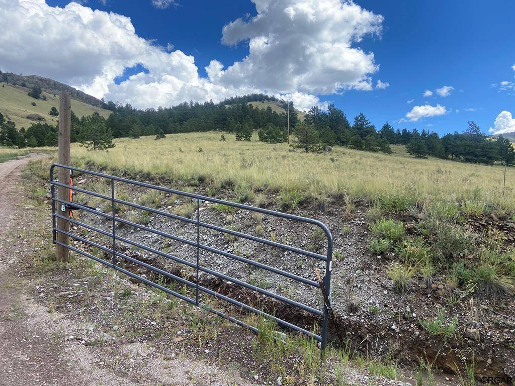 Guffey, CO 80820,2302 Julia Road