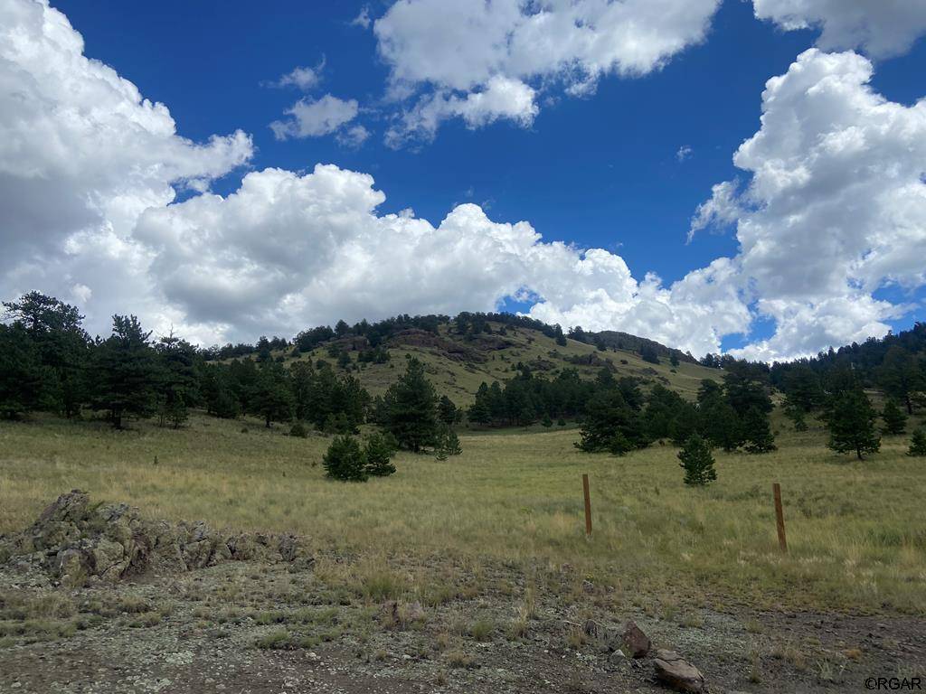 Guffey, CO 80820,2138 Julia Road