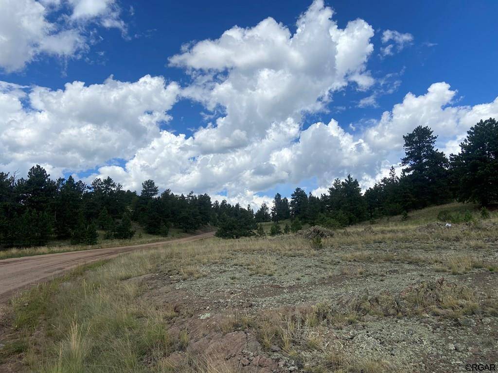 Guffey, CO 80820,2138 Julia Road