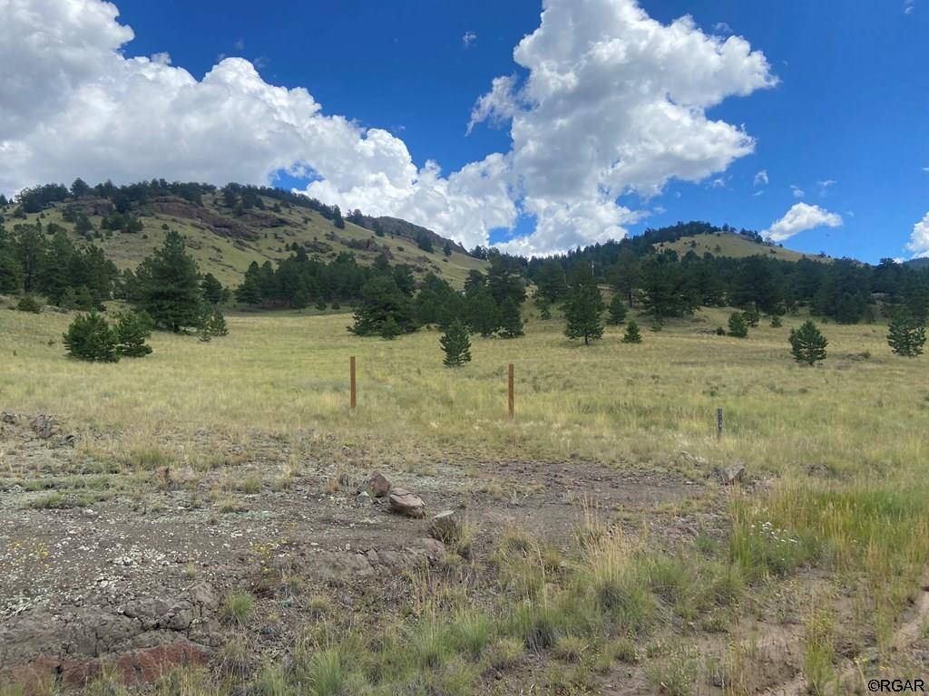 Guffey, CO 80820,2138 Julia Road