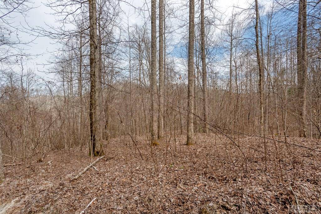 Glenville, NC 28736,Lot 60 Pilot Knob Road